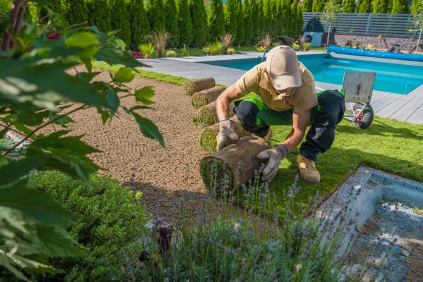 Caucasian Professional Gardener Carefully Rolling Out Turf Grass Rolls While Installing the Instant Lawn Around the Outdoor Swimming Pool. Backyard Resting Area.